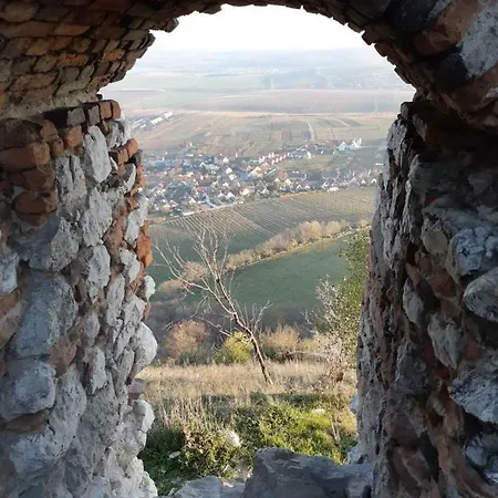 Apartmán Rezidence Pavlov